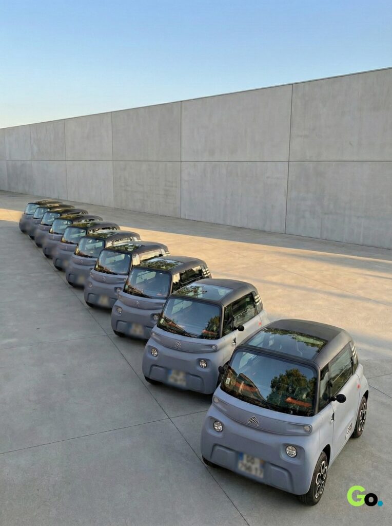 flotille amiGo (généré par IA)